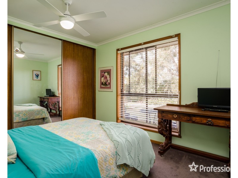 514 Pawson Avenue, Irymple VIC 3498