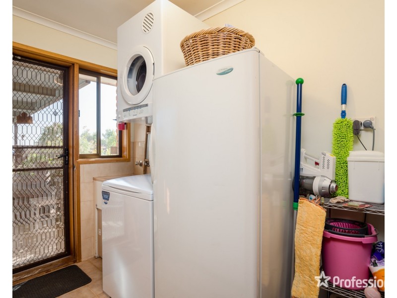 514 Pawson Avenue, Irymple VIC 3498