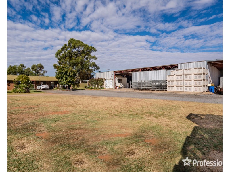 514 Pawson Avenue, Irymple VIC 3498