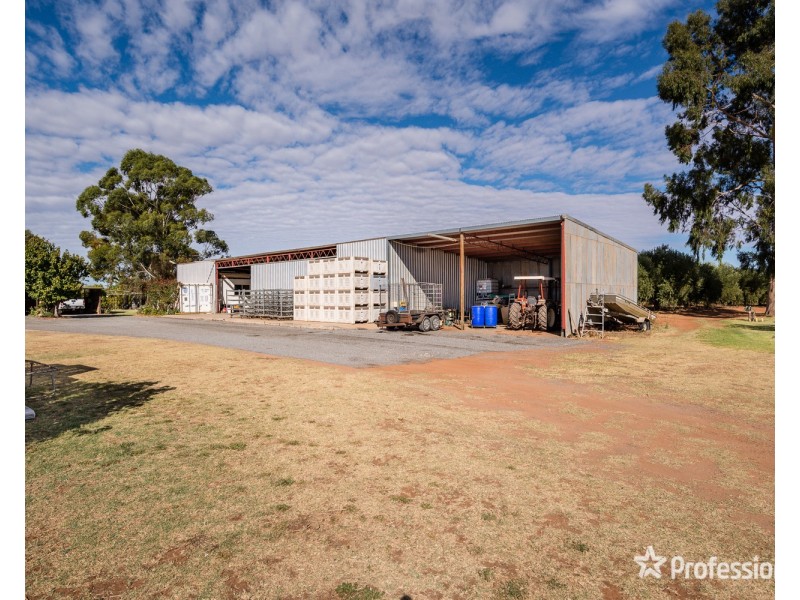 514 Pawson Avenue, Irymple VIC 3498