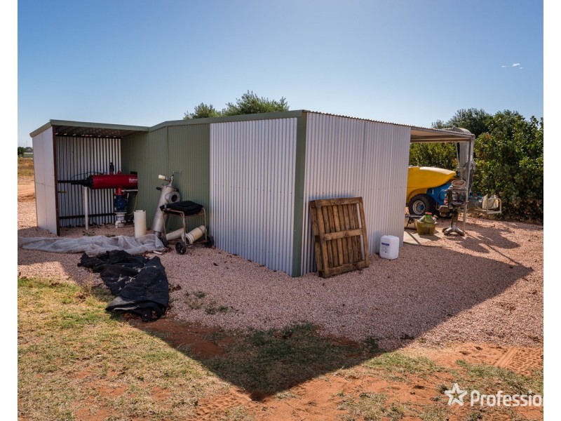 514 Pawson Avenue, Irymple VIC 3498