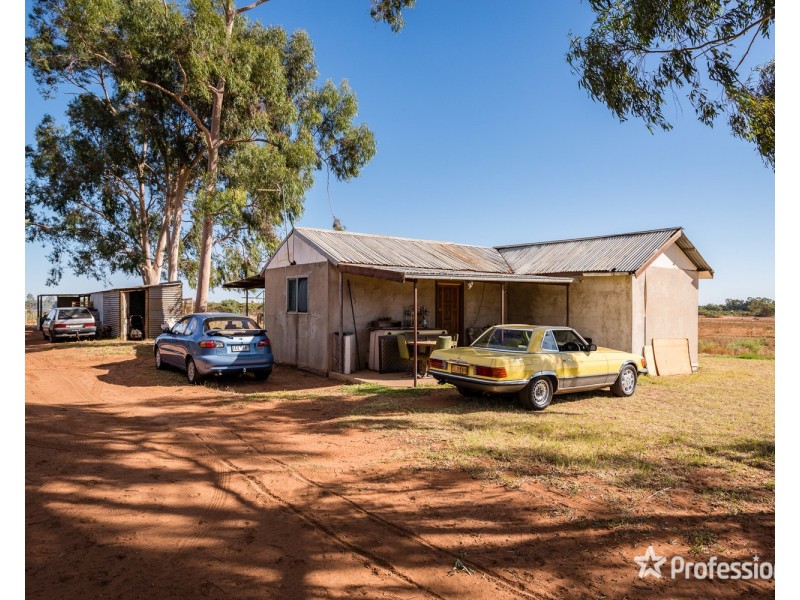 514 Pawson Avenue, Irymple VIC 3498