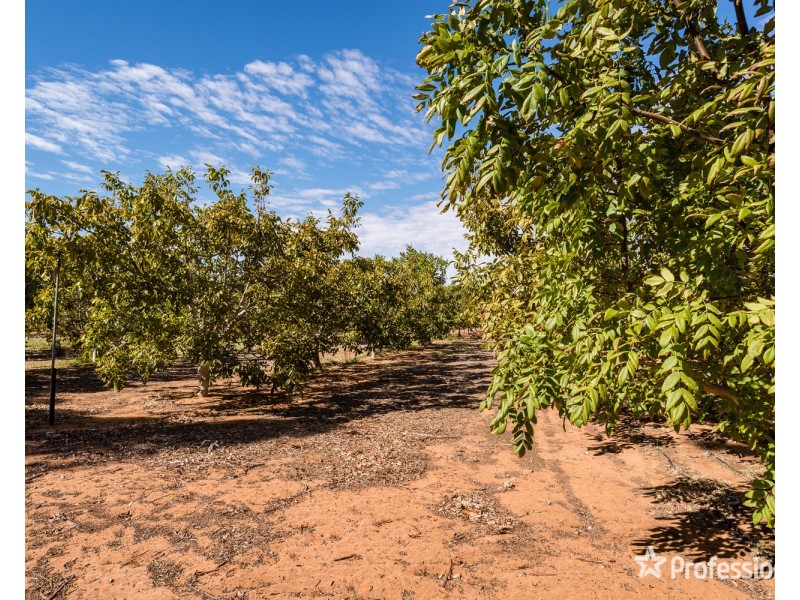 514 Pawson Avenue, Irymple VIC 3498