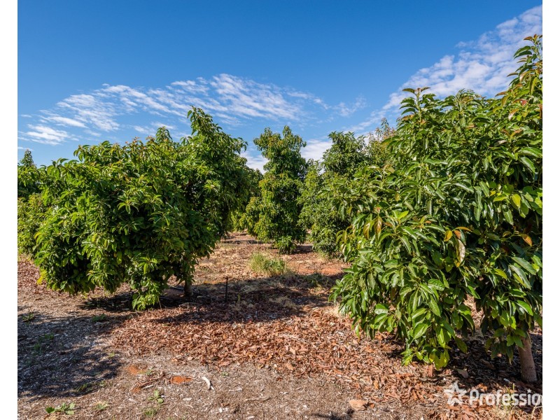 514 Pawson Avenue, Irymple VIC 3498