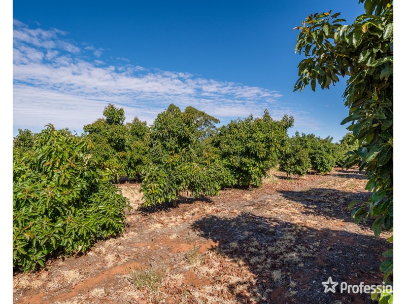 514 Pawson Avenue, Irymple VIC 3498