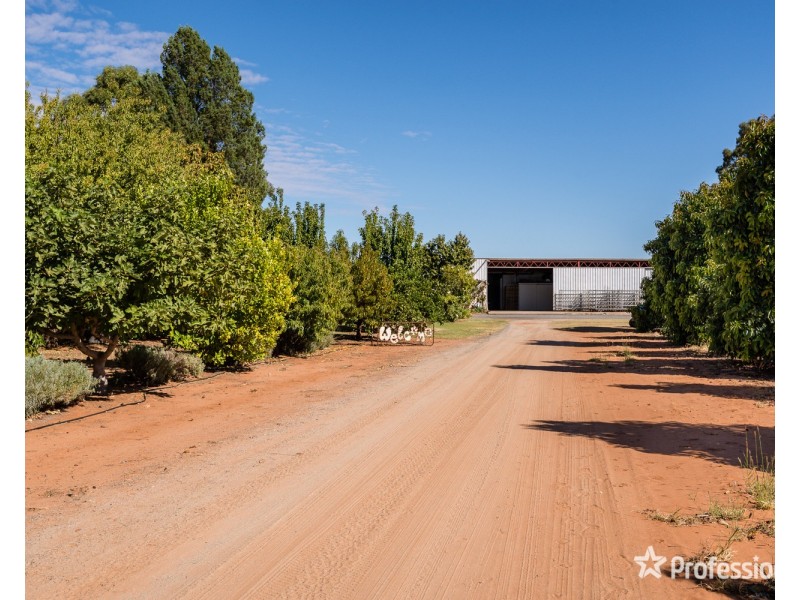 514 Pawson Avenue, Irymple VIC 3498