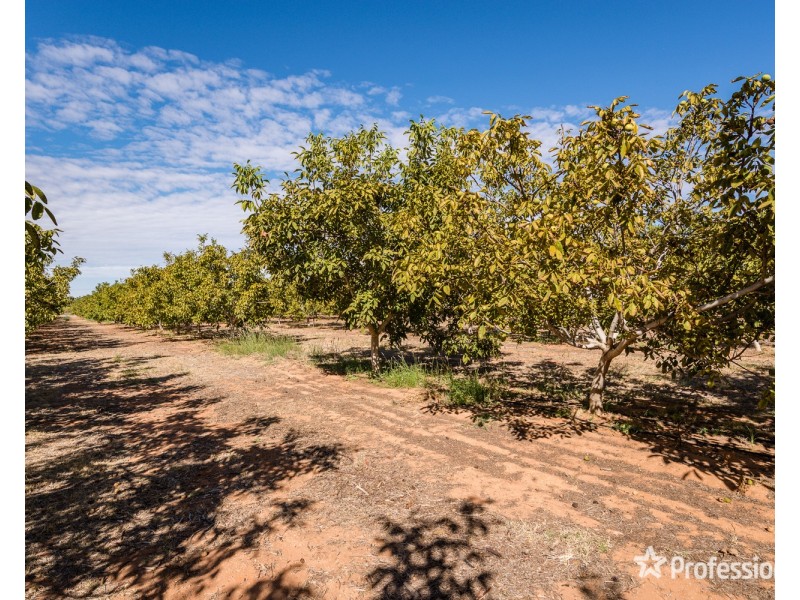 514 Pawson Avenue, Irymple VIC 3498