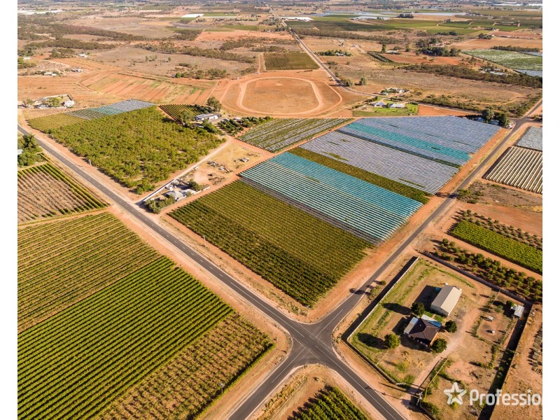 514 Pawson Avenue, Irymple VIC 3498