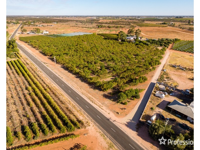 514 Pawson Avenue, Irymple VIC 3498