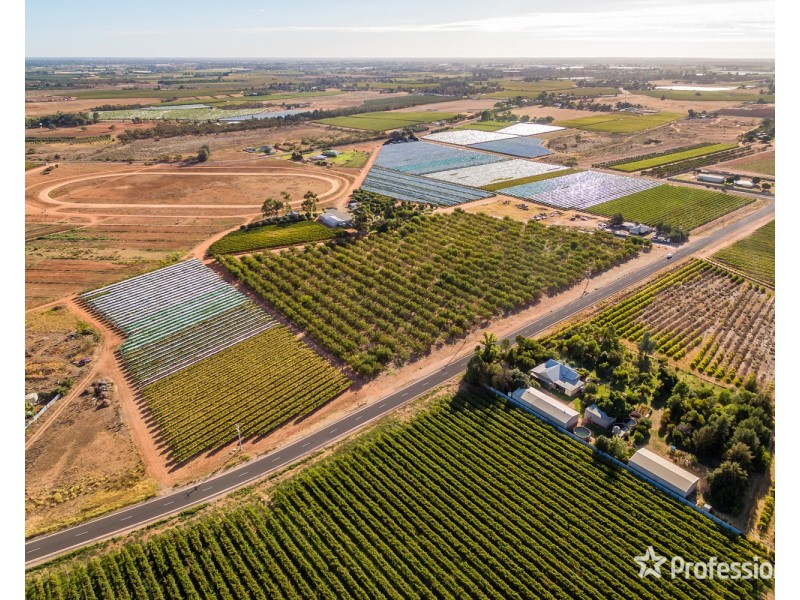 514 Pawson Avenue, Irymple VIC 3498