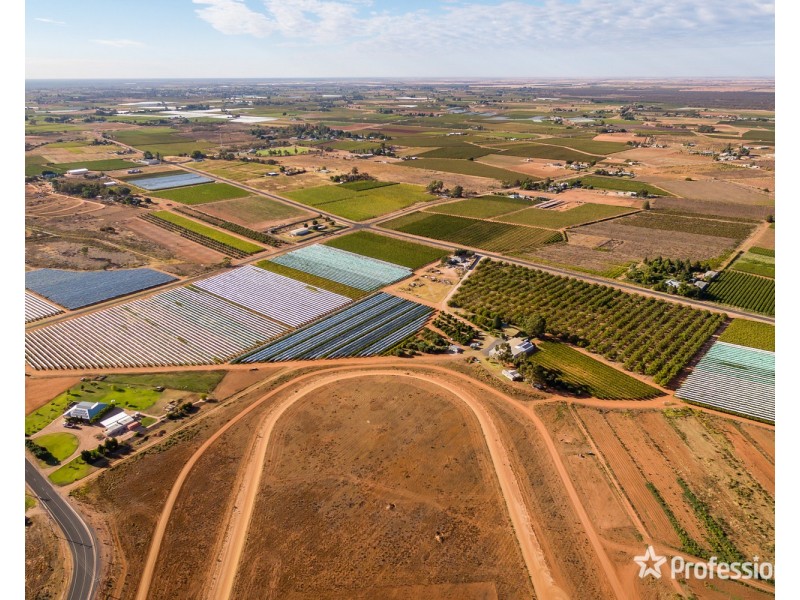 514 Pawson Avenue, Irymple VIC 3498