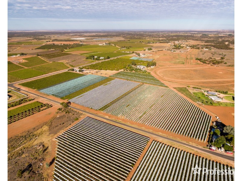 514 Pawson Avenue, Irymple VIC 3498