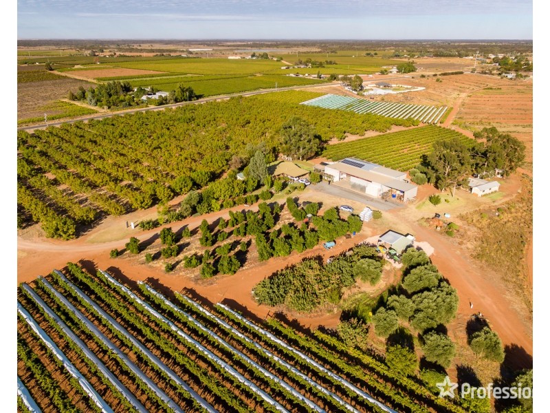 514 Pawson Avenue, Irymple VIC 3498