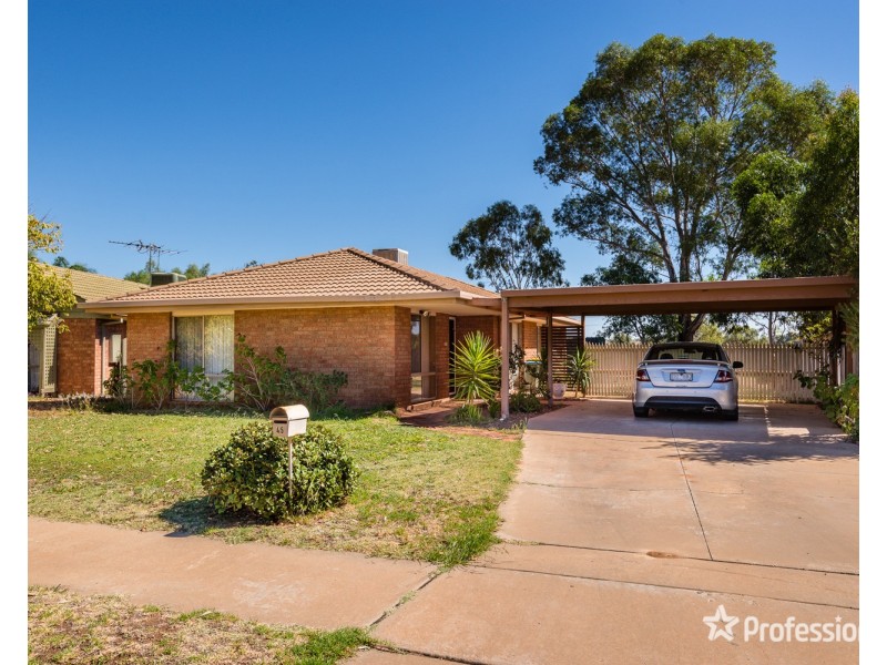 45 Flamingo Drive, Mildura VIC 3500