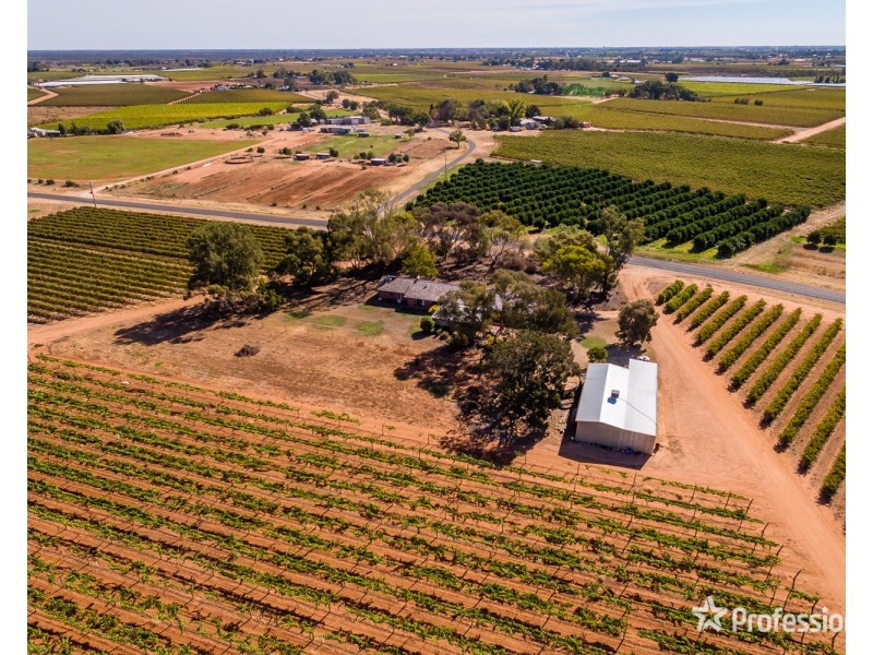 249 Myall Street, Cardross VIC 3496