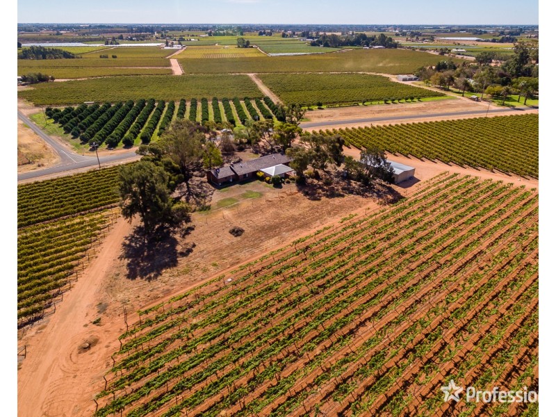 249 Myall Street, Cardross VIC 3496