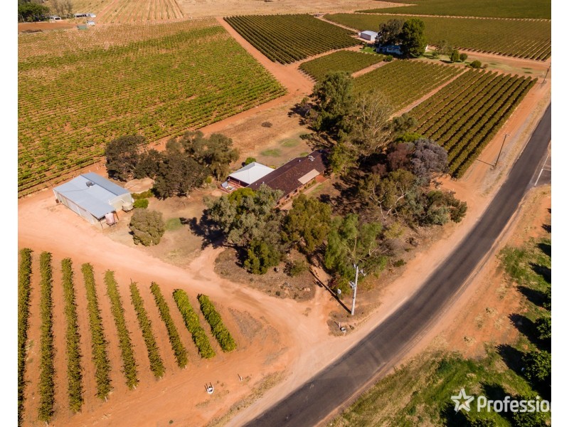 249 Myall Street, Cardross VIC 3496