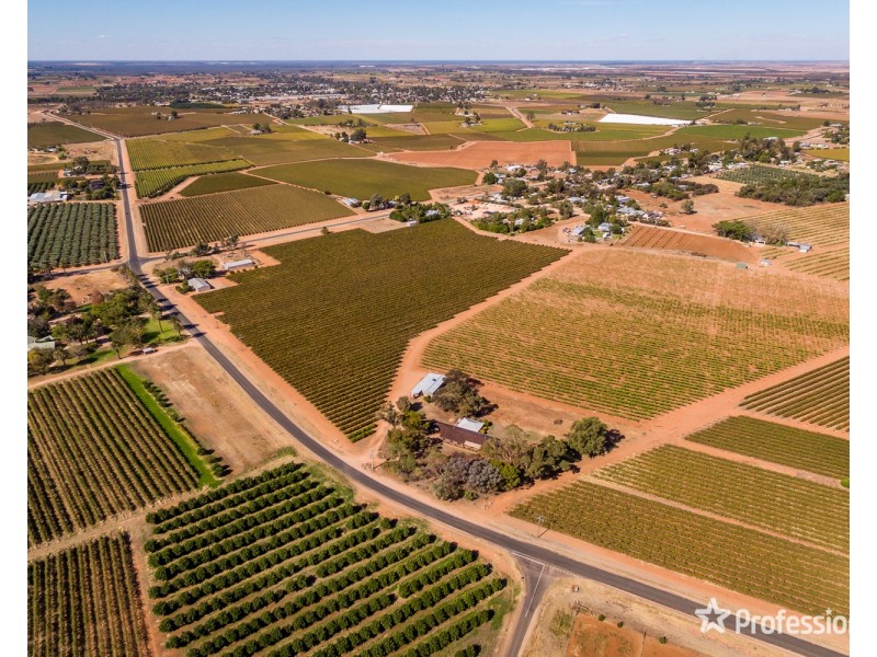 249 Myall Street, Cardross VIC 3496