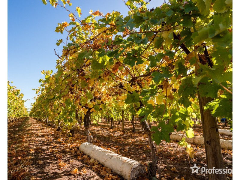 3021 Riverside Avenue, Cabarita VIC 3505