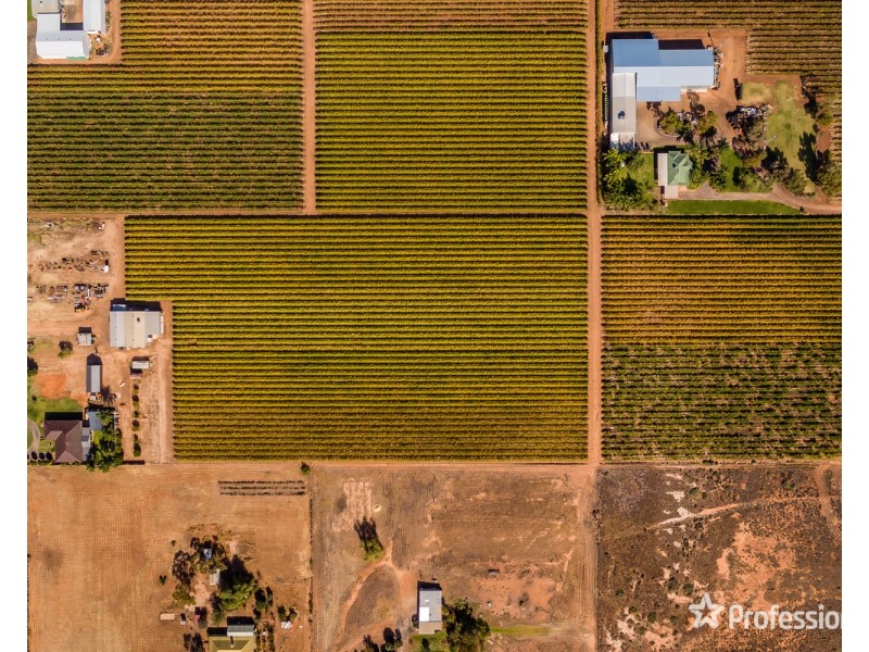 3021 Riverside Avenue, Cabarita VIC 3505