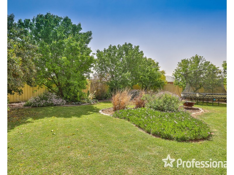 521 Walnut Avenue, Mildura VIC 3500
