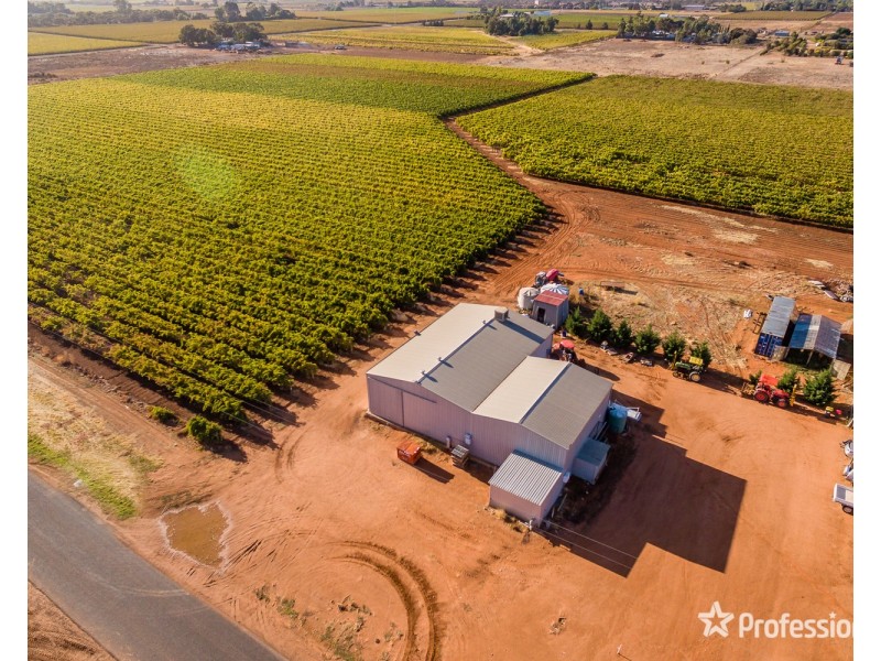 3494 San Mateo Avenue, Mildura VIC 3500