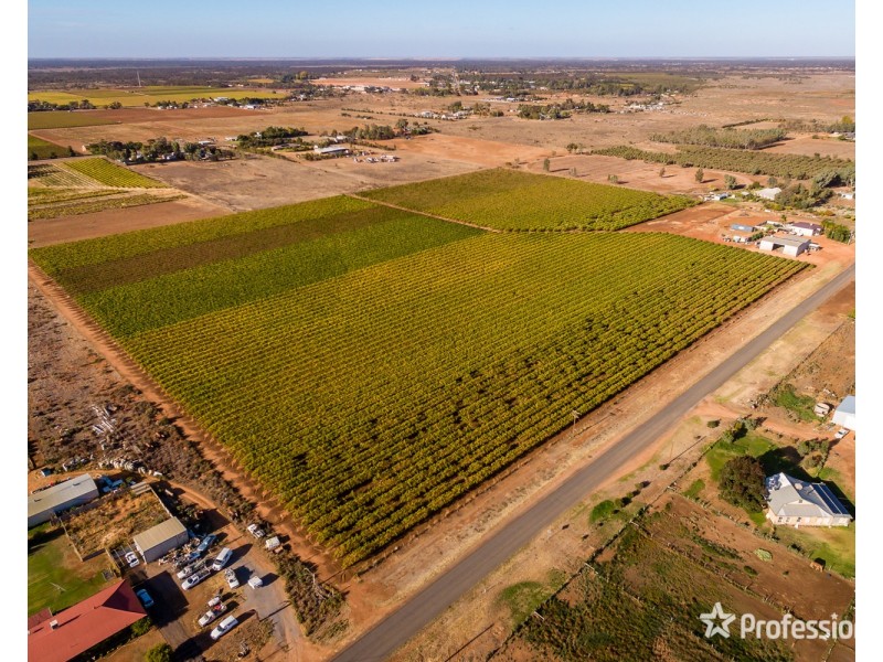 3494 San Mateo Avenue, Mildura VIC 3500