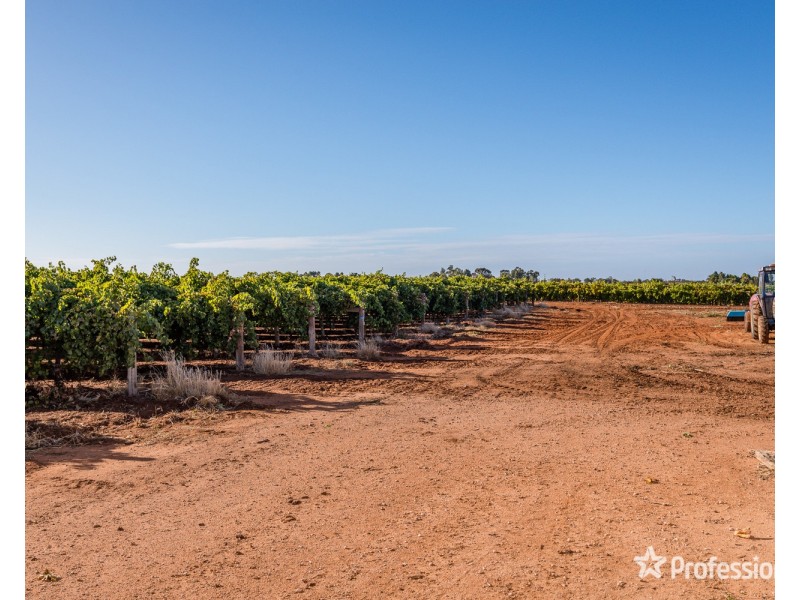 3494 San Mateo Avenue, Mildura VIC 3500