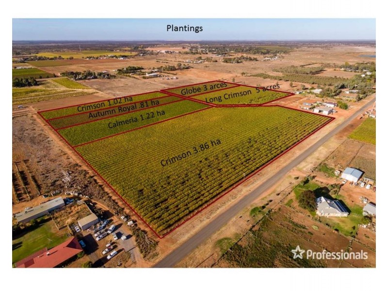 3494 San Mateo Avenue, Mildura VIC 3500