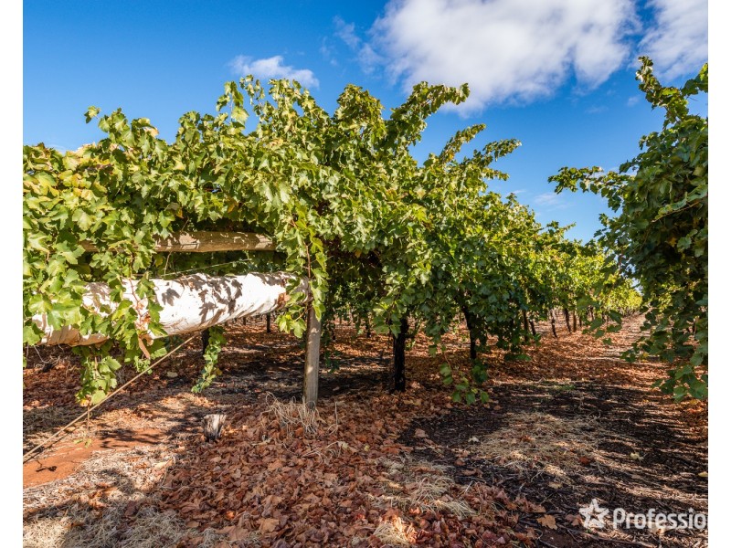 Lot 2/107 Azolia St, Red Cliffs VIC 3496