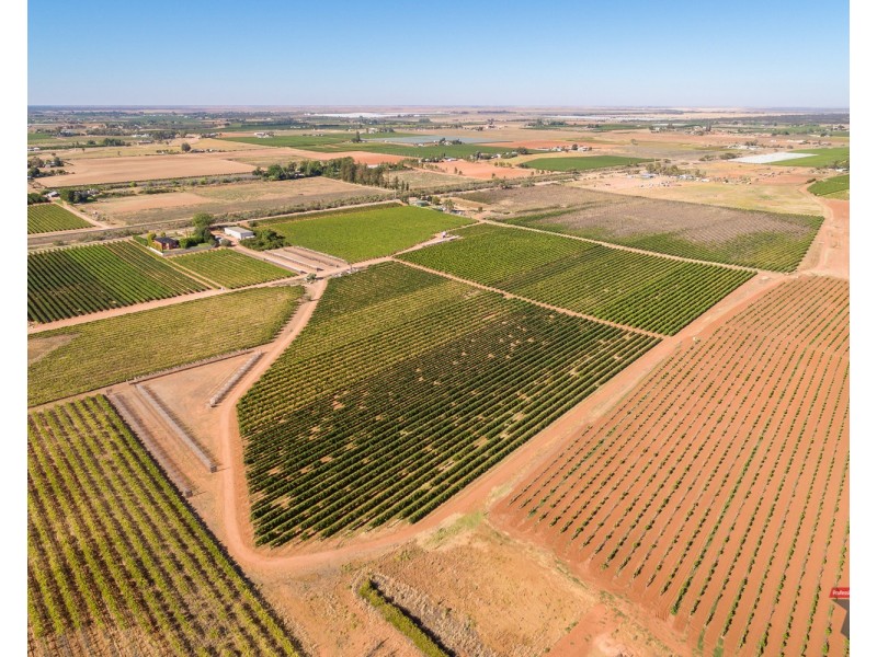 30 Yelta Road North, Merbein VIC 3505