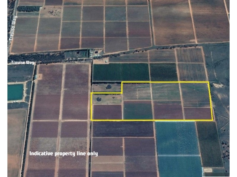 Lot/2 Treviso Way, Red Cliffs VIC 3496