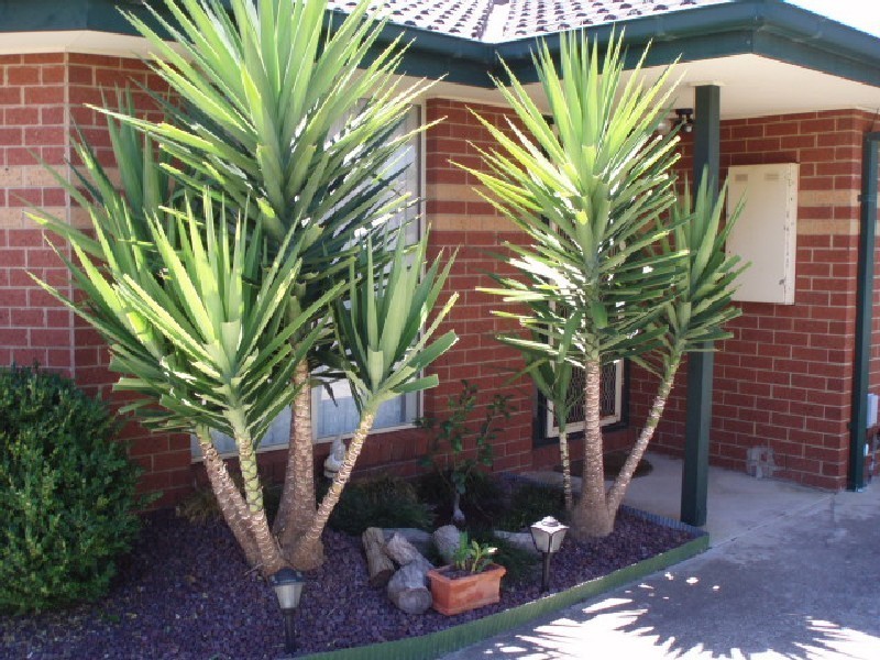 2/12 Bremner Court, Mill Park VIC 3082