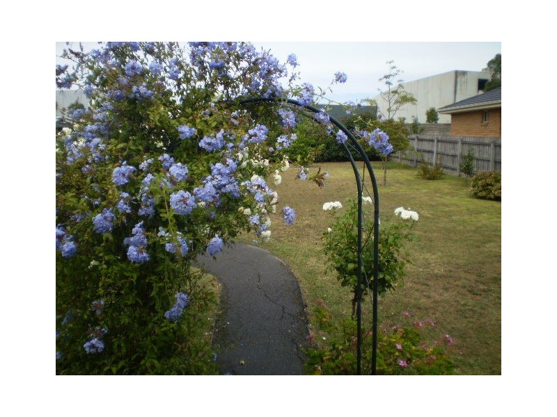 72 Sellick Drive, Croydon VIC 3136