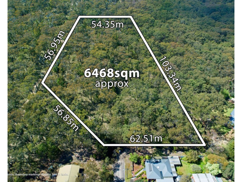 42 The Avenue, Montrose VIC 3765