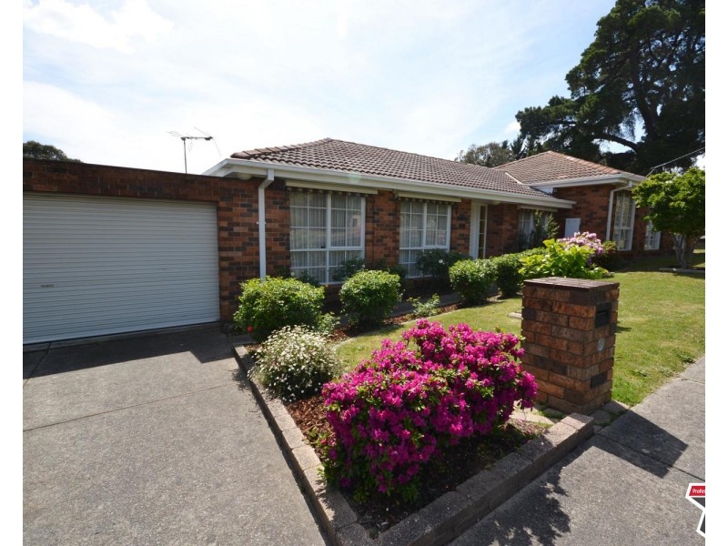 127 Wonga Road, Ringwood North VIC 3134