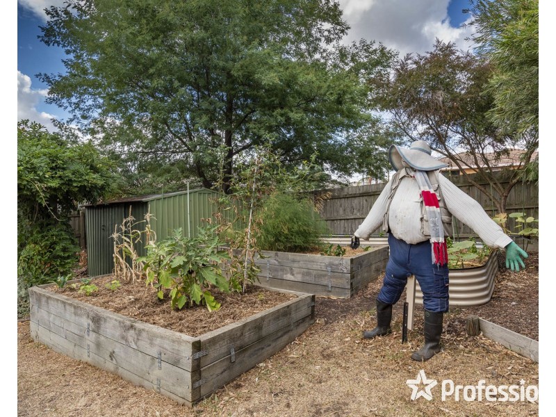 22 Carole Avenue, Chirnside Park VIC 3116