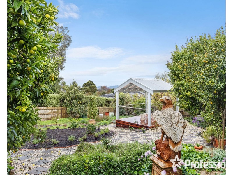 46 Rolling Hills Road, Chirnside Park VIC 3116