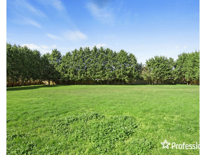 31 Hamilton Road, Bayswater North VIC 3153