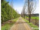 59 Spring Road, Silvan VIC 3795
