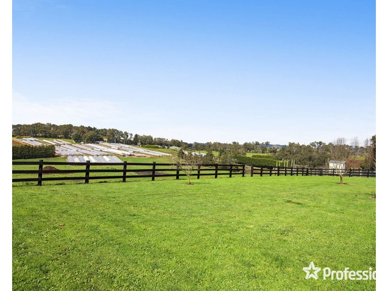 59 Spring Road, Silvan VIC 3795