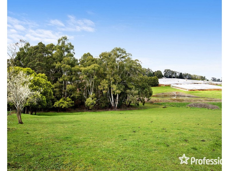 59 Spring Road, Silvan VIC 3795