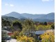 Healesville VIC 3777
