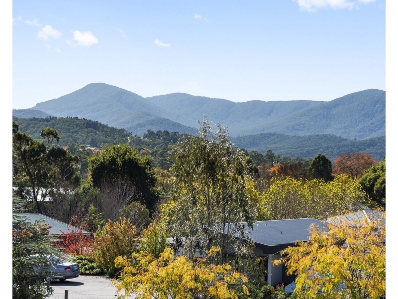 Healesville VIC 3777