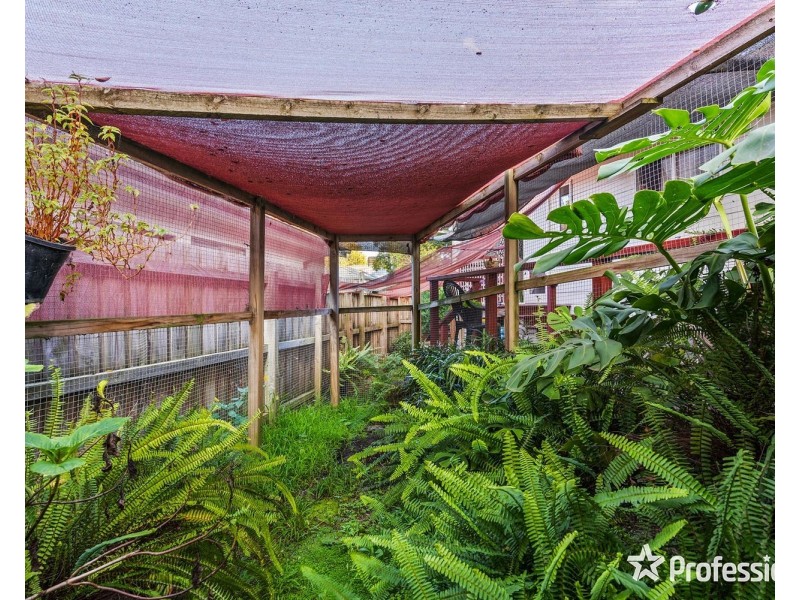 16 Mount View Parade, Mooroolbark VIC 3138