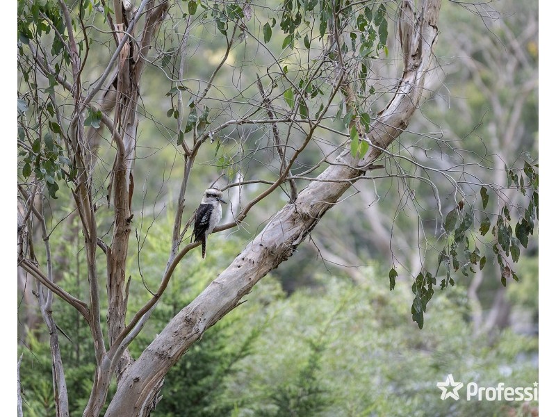 103 Charles Road, Lilydale VIC 3140