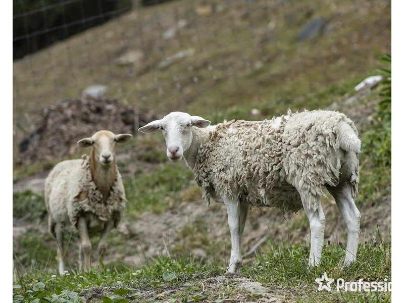 60 Charles Road, Lilydale VIC 3140