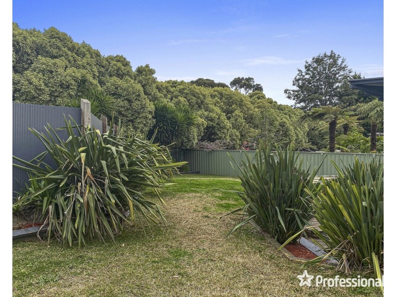 14 Raleigh Street, Seville VIC 3139
