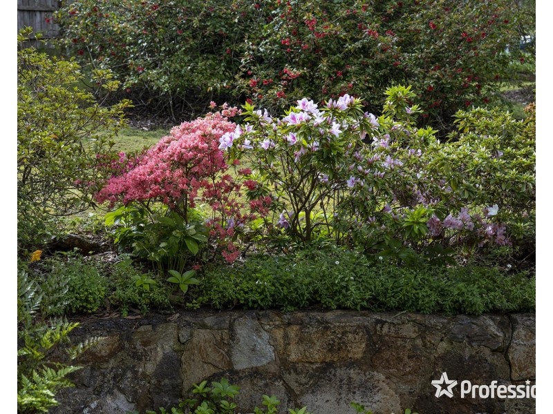 12 Banool Avenue, Mount Evelyn VIC 3796