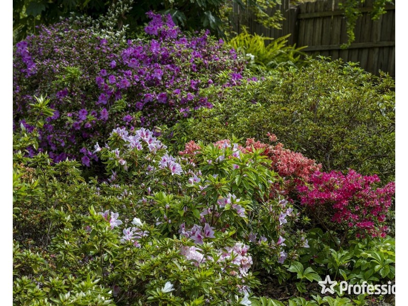 12 Banool Avenue, Mount Evelyn VIC 3796